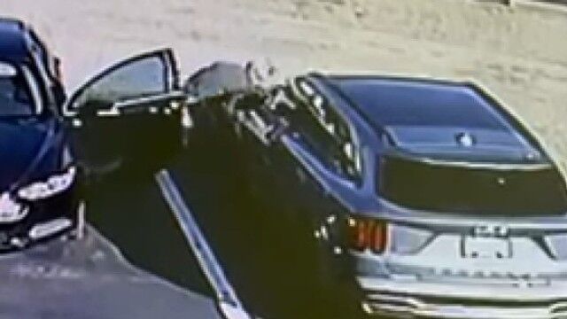 Suspect stealing catalytic converter